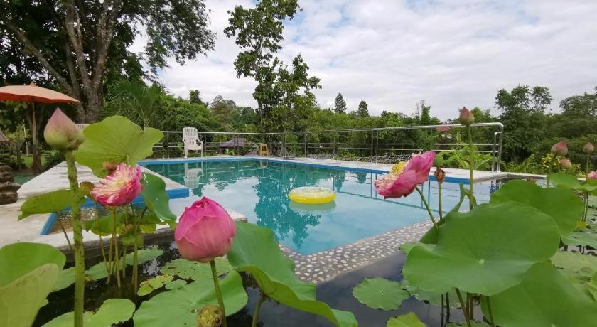 Ban Rai Tin Thai Ngarm Eco Lodge Mae Rim Dış mekan fotoğraf