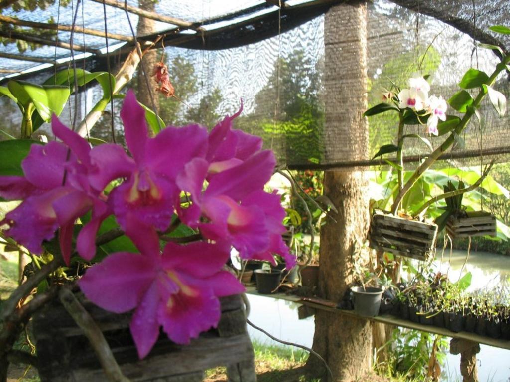 Ban Rai Tin Thai Ngarm Eco Lodge Mae Rim Dış mekan fotoğraf